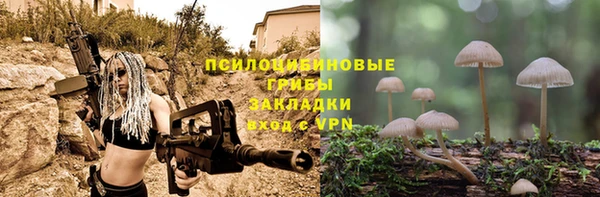 ALPHA-PVP Богородицк